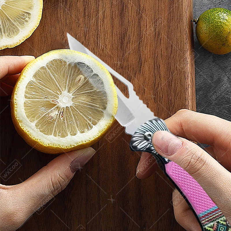 WXCOO Folding Knife Stainless  - Kitchen Baking Store avaliação e preço