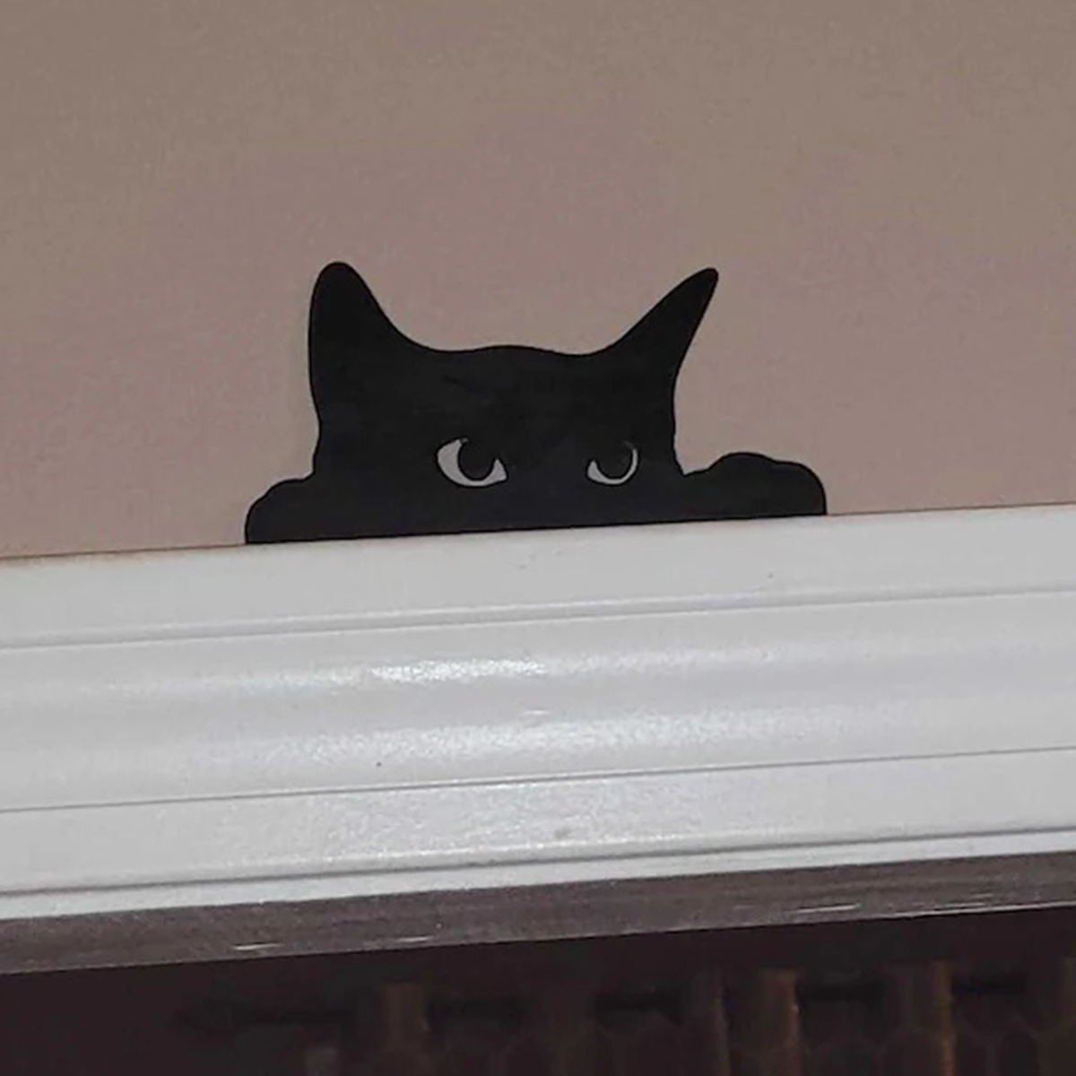 1 Pc Cat looking up Door Toppe - Kitchen Up avaliação e preço
